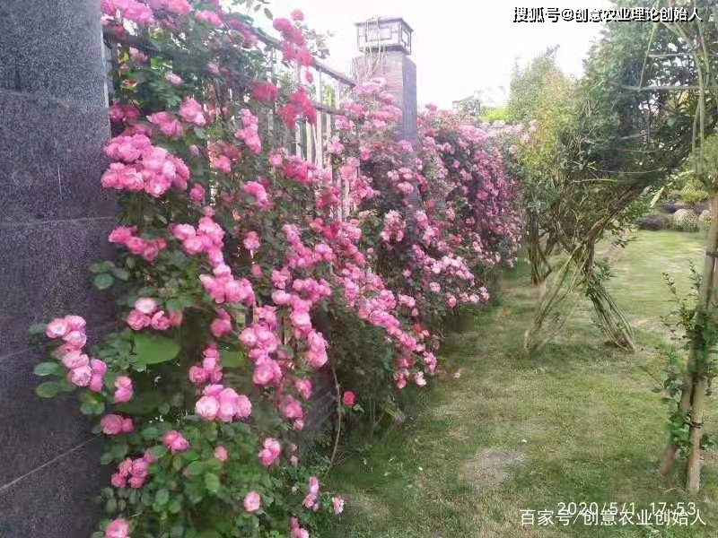 成都创意农业新场景教程（章继刚著）用花园理念重塑田园生活方式