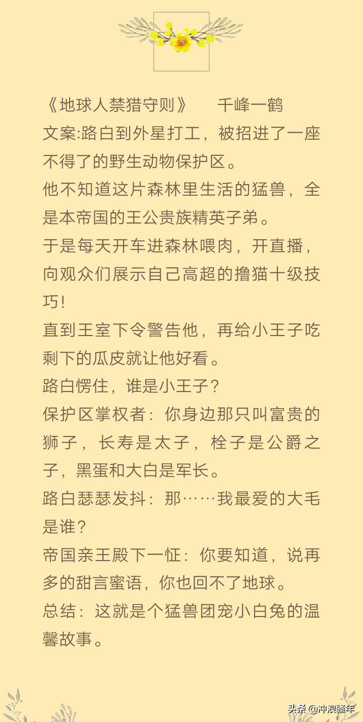 「纯爱」《一级律师》：公理之下，正义不朽