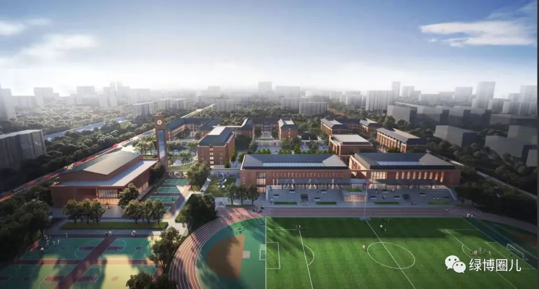 郑州枫杨外国语学校,