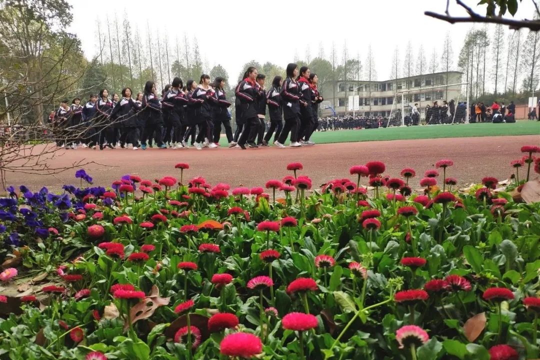 2020级中考生，别只盯着479，成都这23所高中也有自主招生