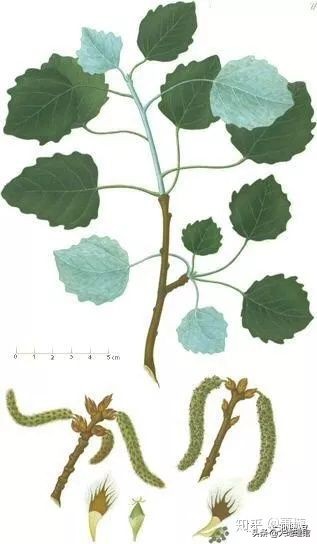 学者们的江湖门派和地图