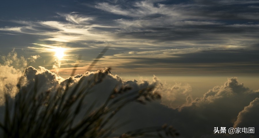 家电线下双11来了！美的格力海信方太奥克斯格兰仕备战忙