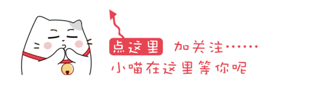 小熊种树的故事200字
