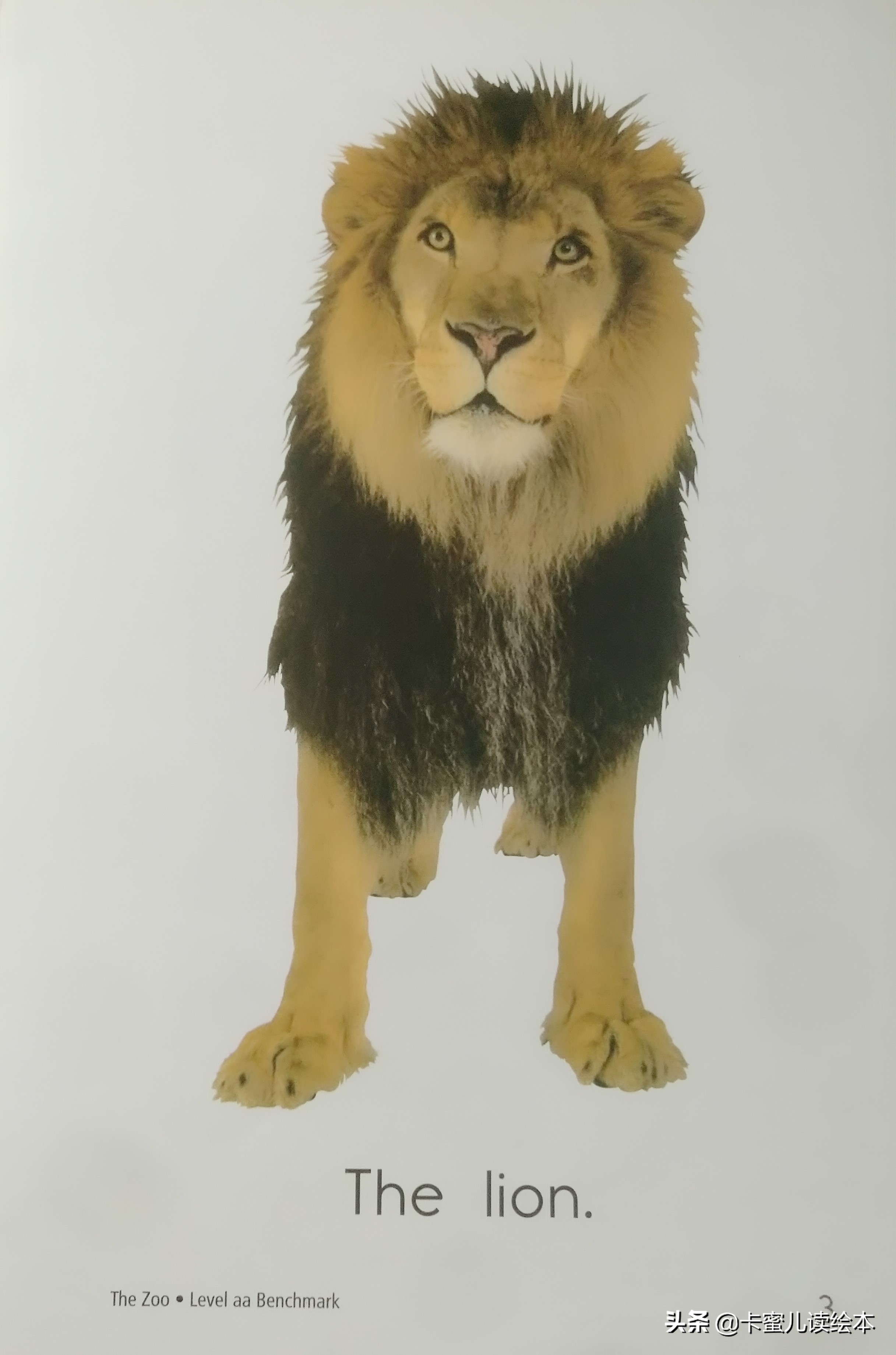 英文有声绘本故事《The Zoo》动物园