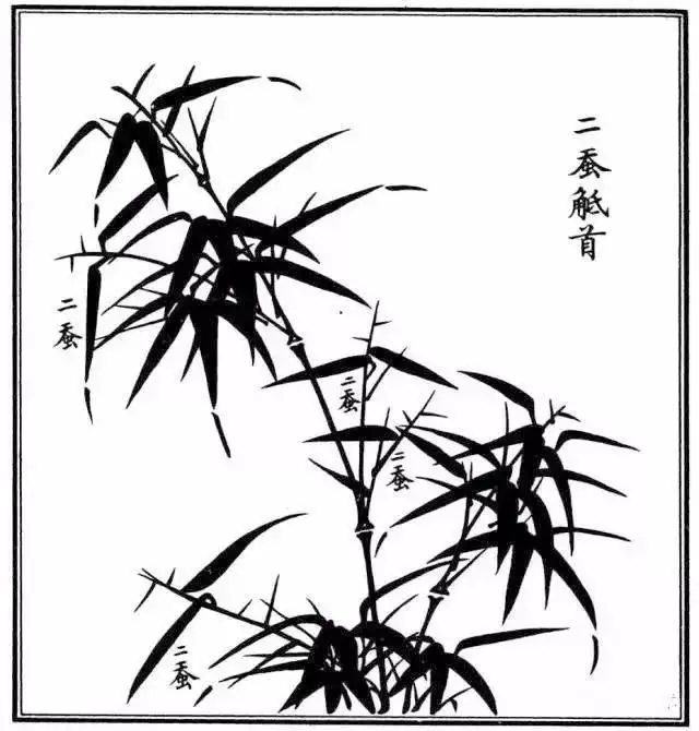 不会画竹子?教你最常见竹子画法,简单易学,快收藏起来临摹学习