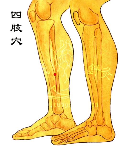 针灸治疗网球肘就是这么简单(快速搞定网球肘的特效针法！（简灵奇针创始人周大鹏老师讲解）)