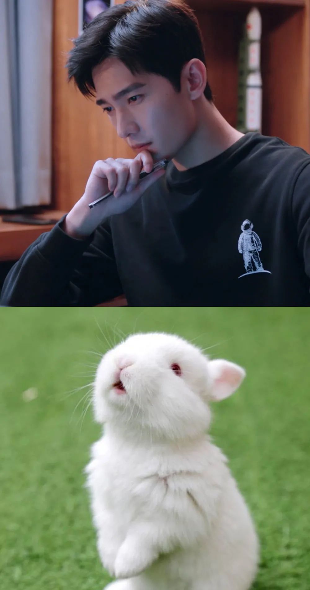 除了杨洋,还有哪些软糯糯的兔系明星?