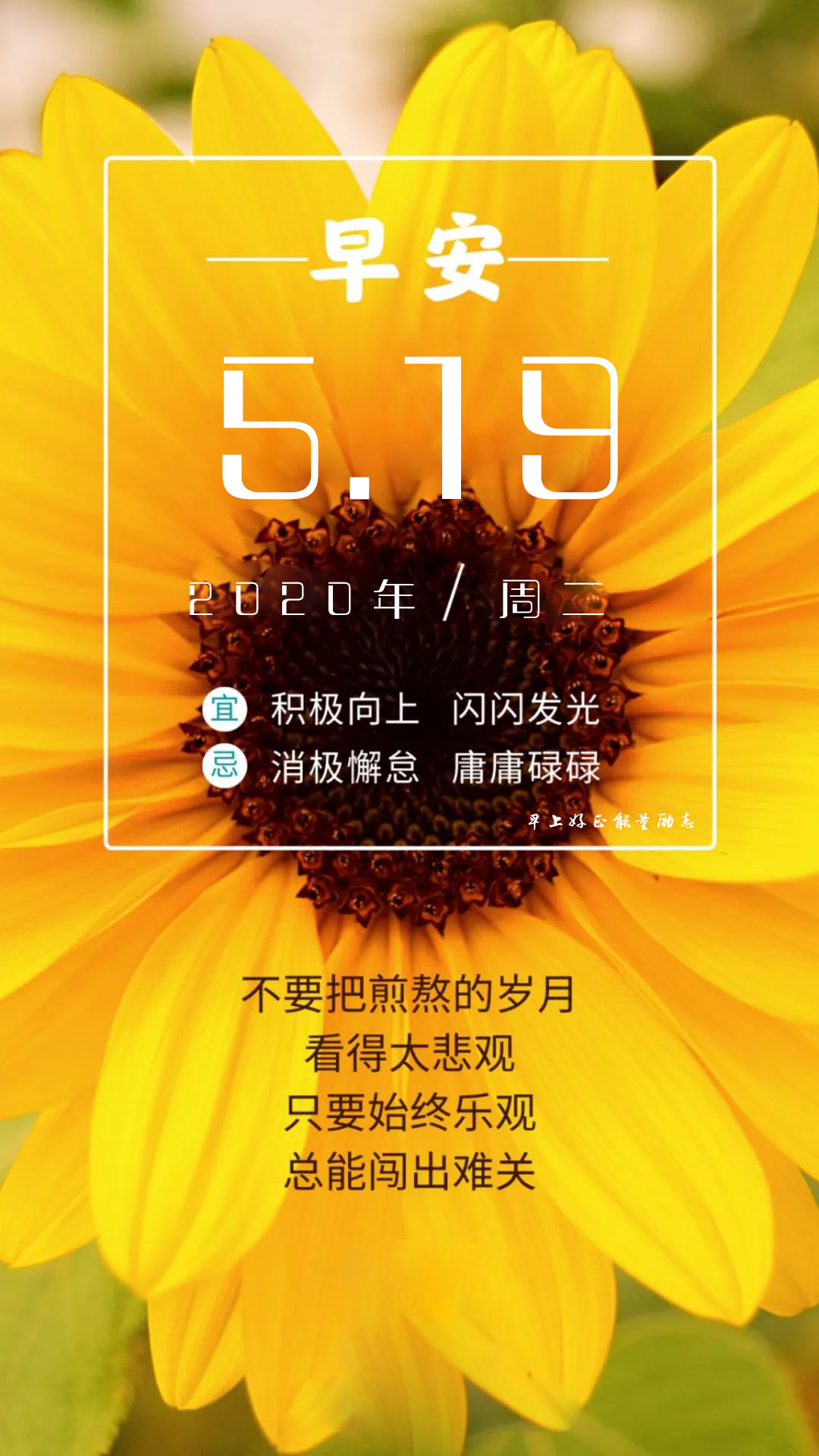 早安心语正能量图片日签加字：努力做个温暖的人，用微笑去迎接阳光