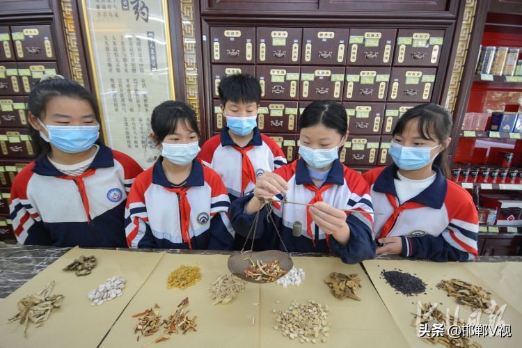 邯郸：感受传统医药文化