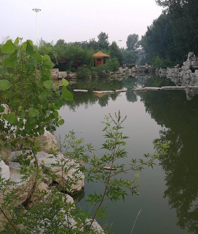 潍坊最好的5所高中，2020年高考9人进入省前50，还有一名是省状元