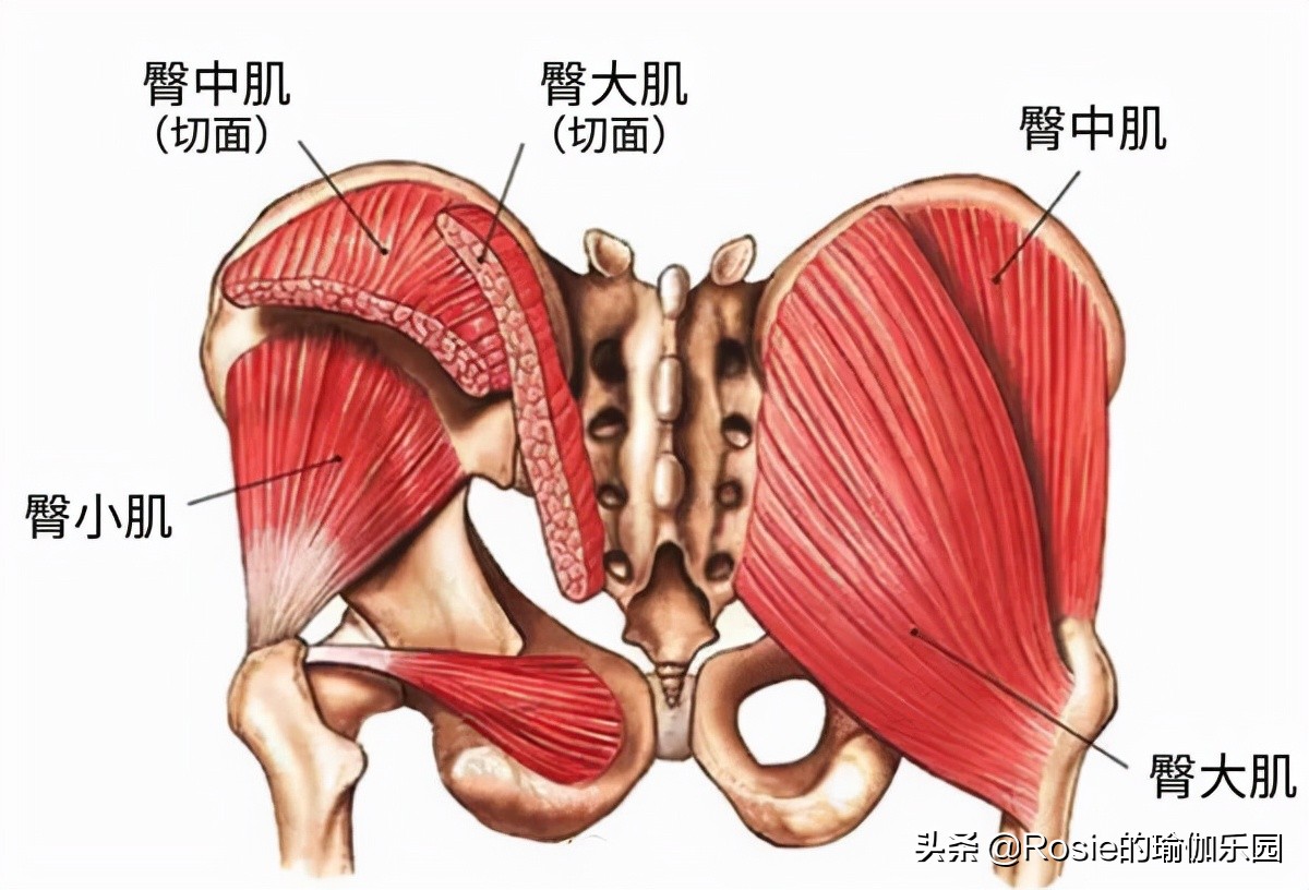 4个动作解锁圆翘美臀