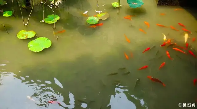 昨天，今天，明天；过去，现在，将来；前世，今生，来世…绝了