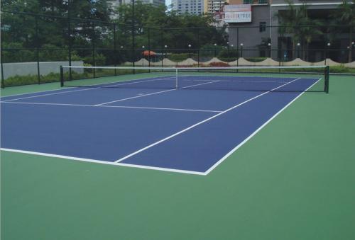 网球和羽毛球哪个影响力大(打网球和打羽毛球区别和哪个更费钱？)