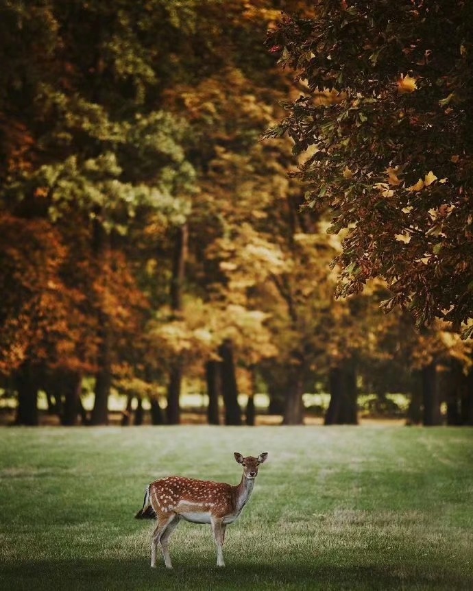 散文：余生，用人生理想，梦的丰满，对抗现实生活的骨感