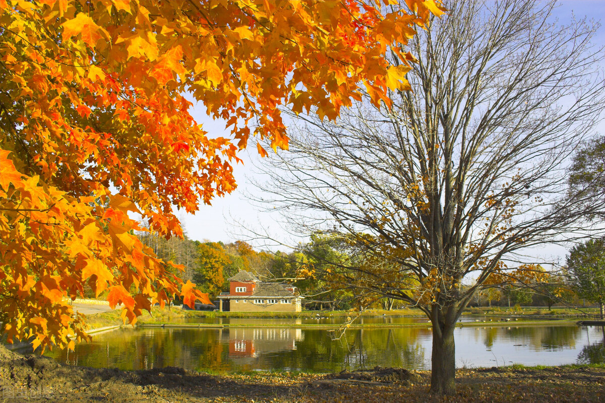 外面的一切，都是那么清晰