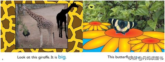 不懂这点，牛津阅读树真是白买了