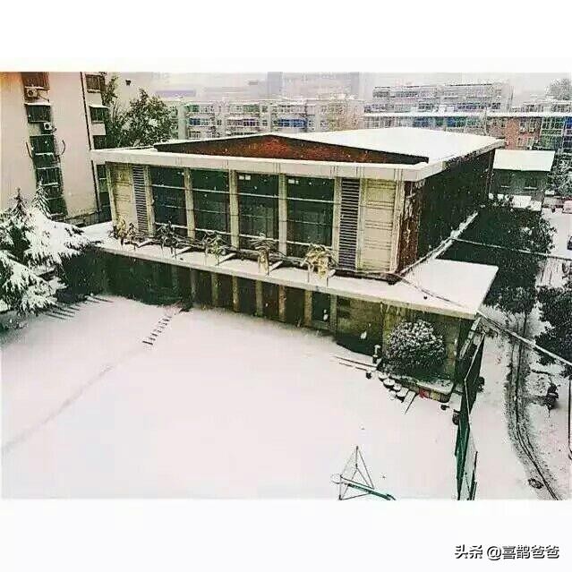 郑州民办初中全视角——“另类的你”：郑州市金水区经纬中学