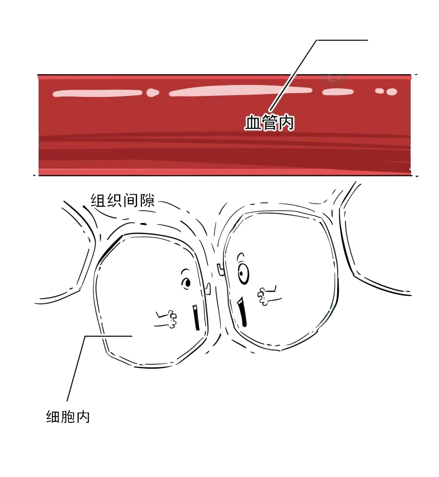 肾不好的人，为什么会水肿呢？怎么消肿？