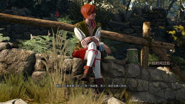 从几句对白开始,我试着回忆《巫师》系列中的女人们:夏妮