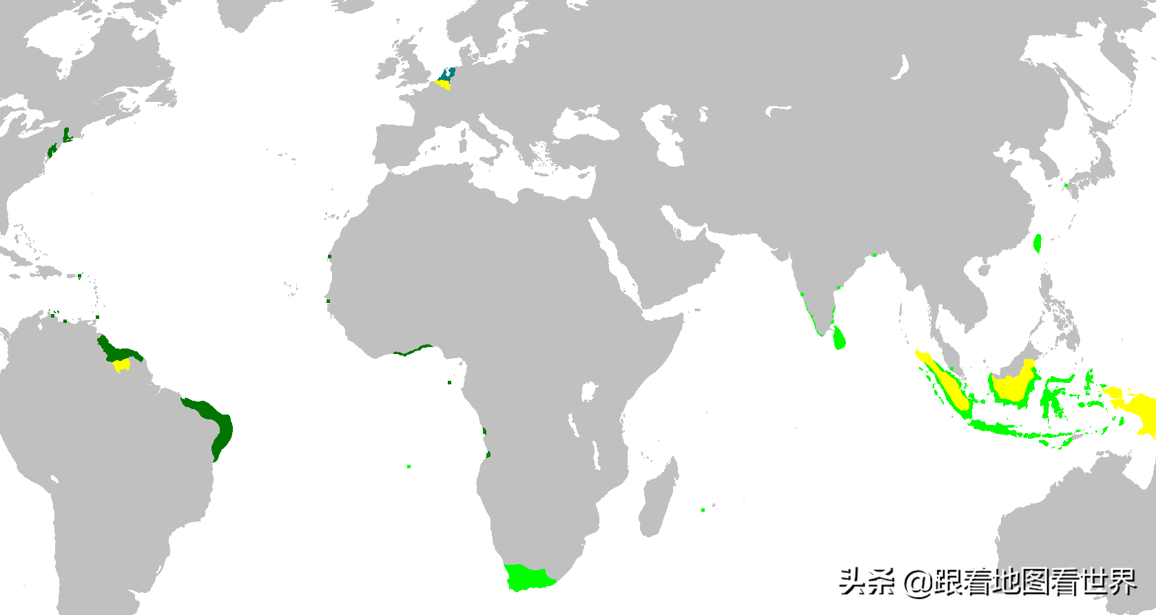 荷兰东印度公司离成立200周年只差4年，就倒闭了
