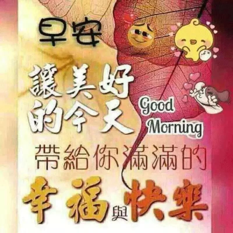 任何的收获不是巧合，而是每一天的努力与坚持得来的，早安