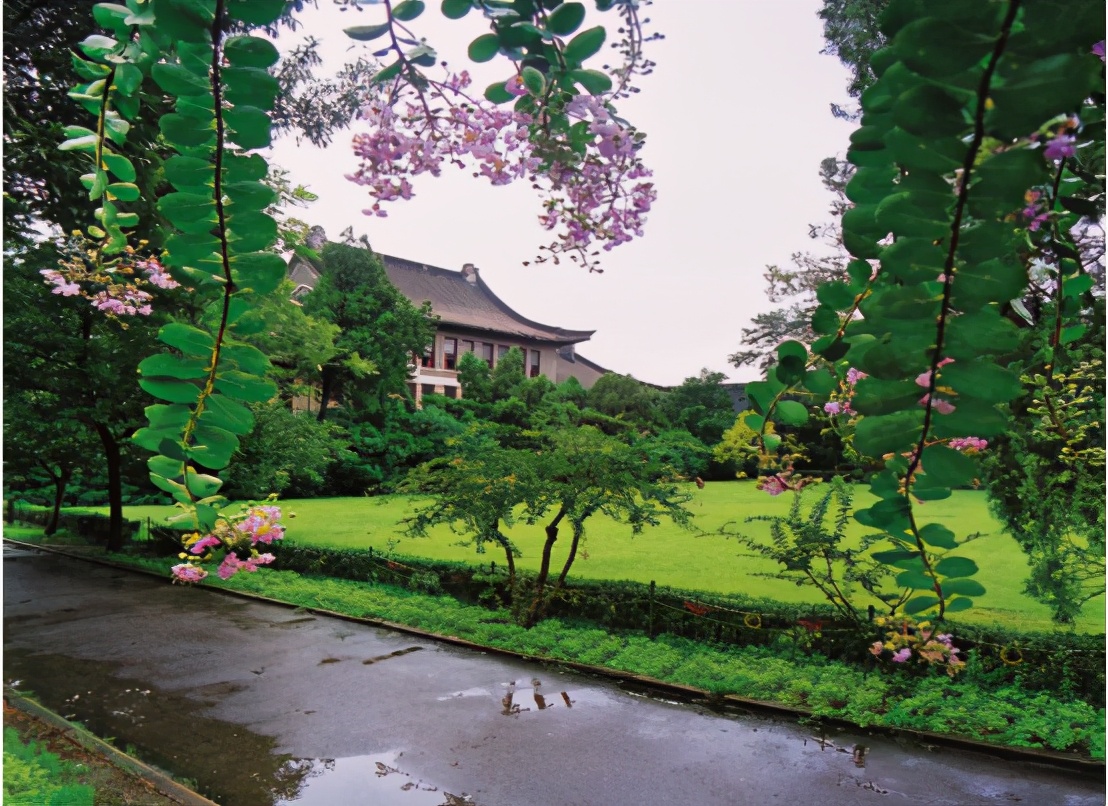 高清大图惊艳来袭！或许，“她”就是南京大学最美校花！