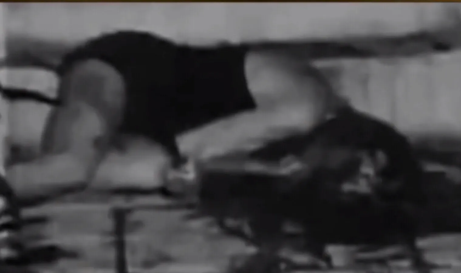 神探李昌钰系列之3—洛杉矶警察的低级失误，神探李昌钰成名之作