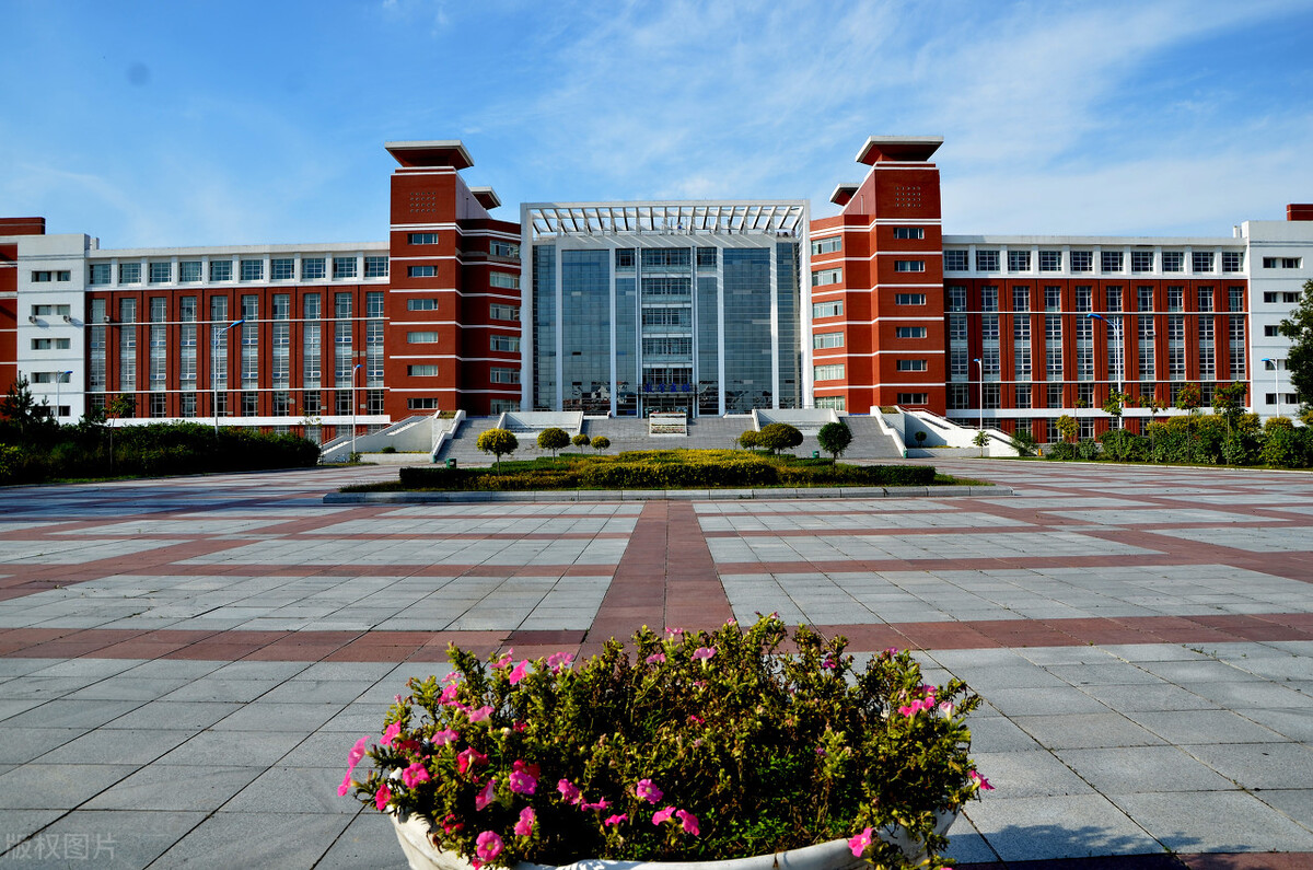 高考怎么选科（新高考3）