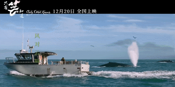 遭张艺谋忽悠，被传傍蒋雯丽上位，“狠人”黄轩的粉红成名史