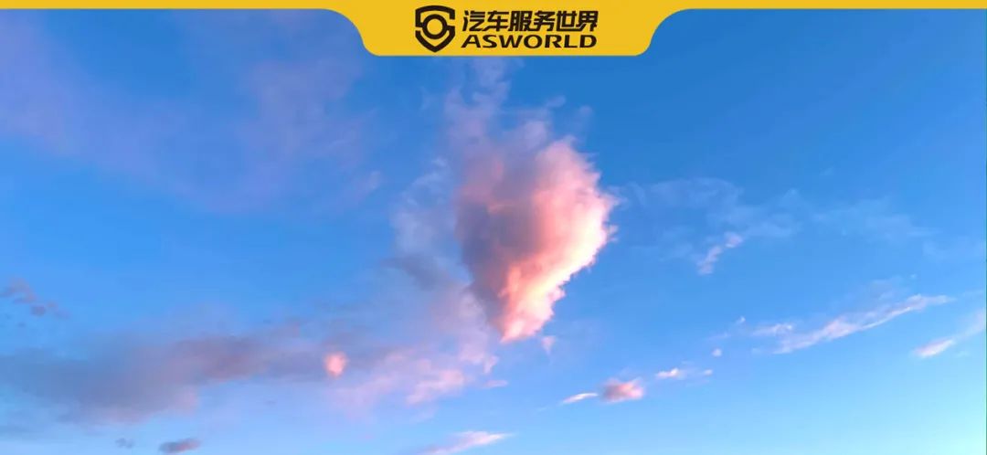 只有途虎才能打败途虎？