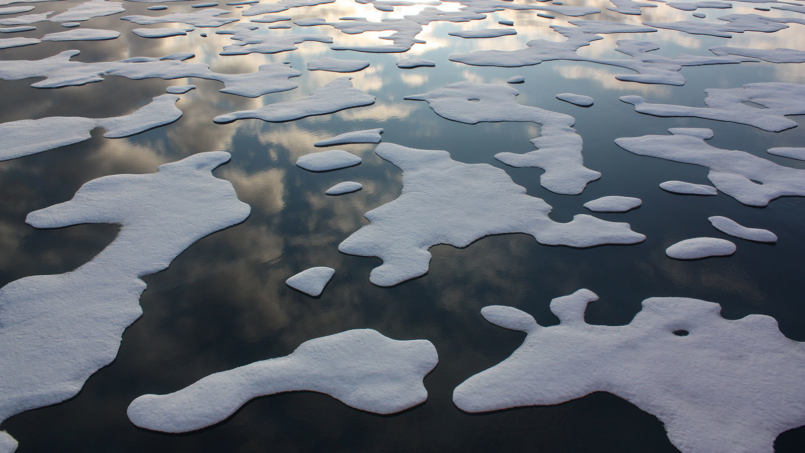 气候临界点或在靠近，北极2023年可能夏季无冰，人类何去何从？
