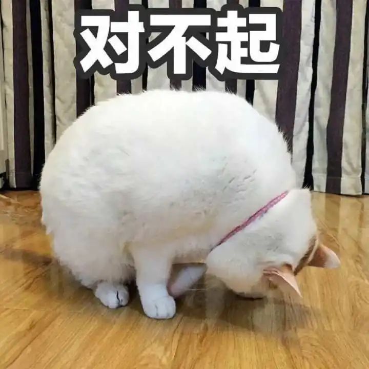 ftg是什么意思(yyds, nbcs, xswl 都是什么意思?