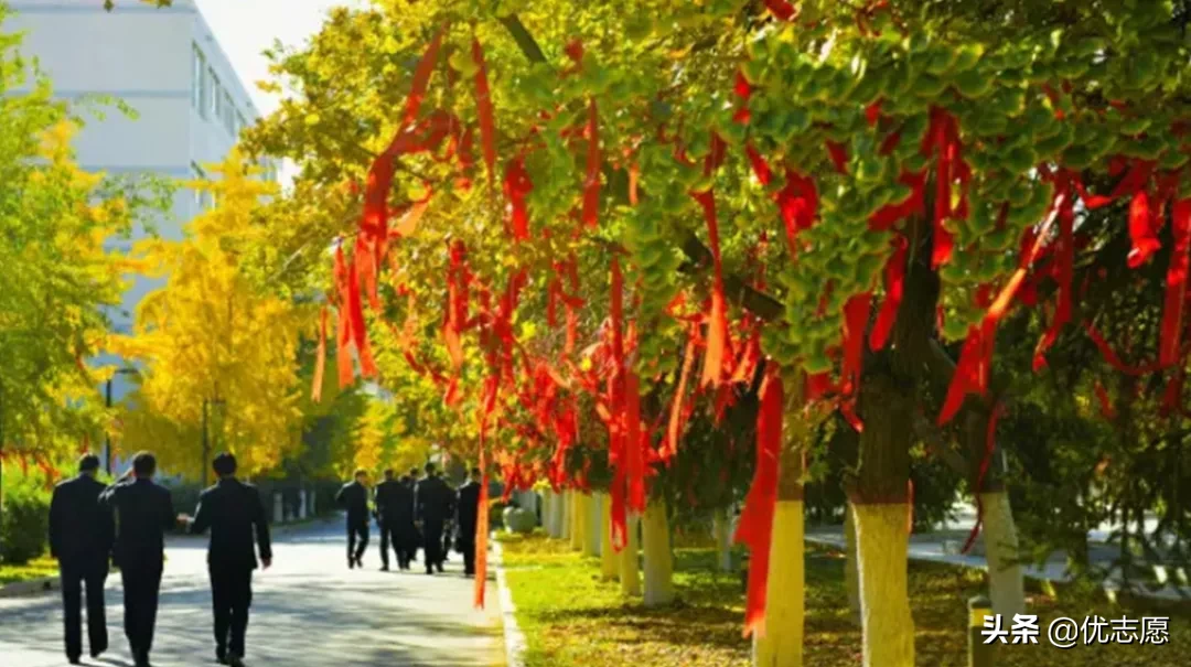 这些政法类大学都是法学界的王牌高校，个个实力强悍