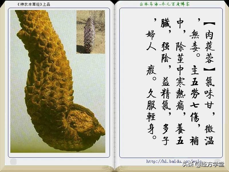 《神农本草经》全册图文解析 建议收藏