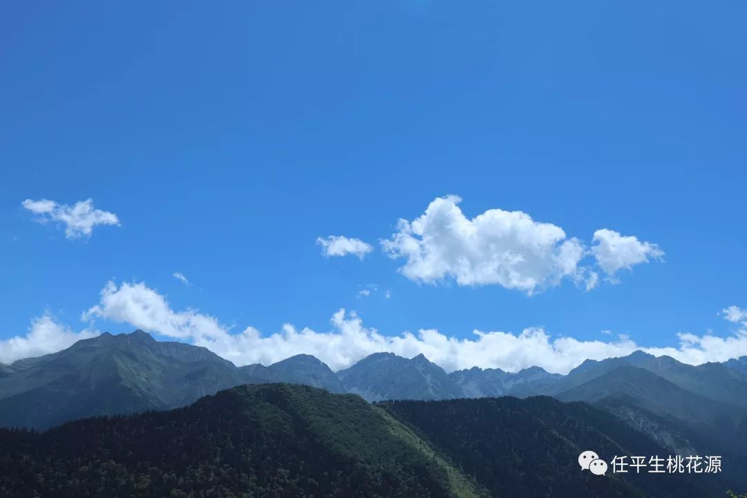 「专栏」任平生作品赏析：《清平乐》