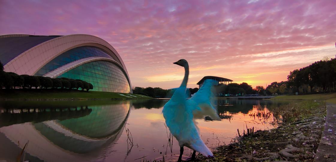 招生1024人学费5万元每年，上海艺术学院2021年录取数据分析