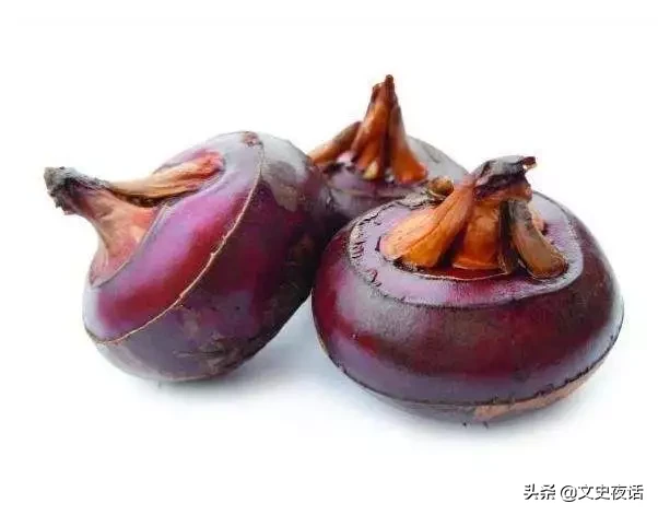 这些诗词中的植物名，你读对了吗？