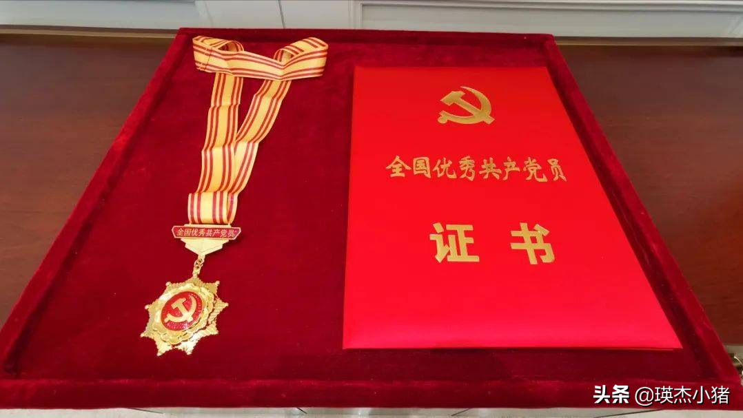 共和国勋章享受什么级别待遇（共(gong)和国勋章意味着享受什么待遇）-第7张图片-大连信息网