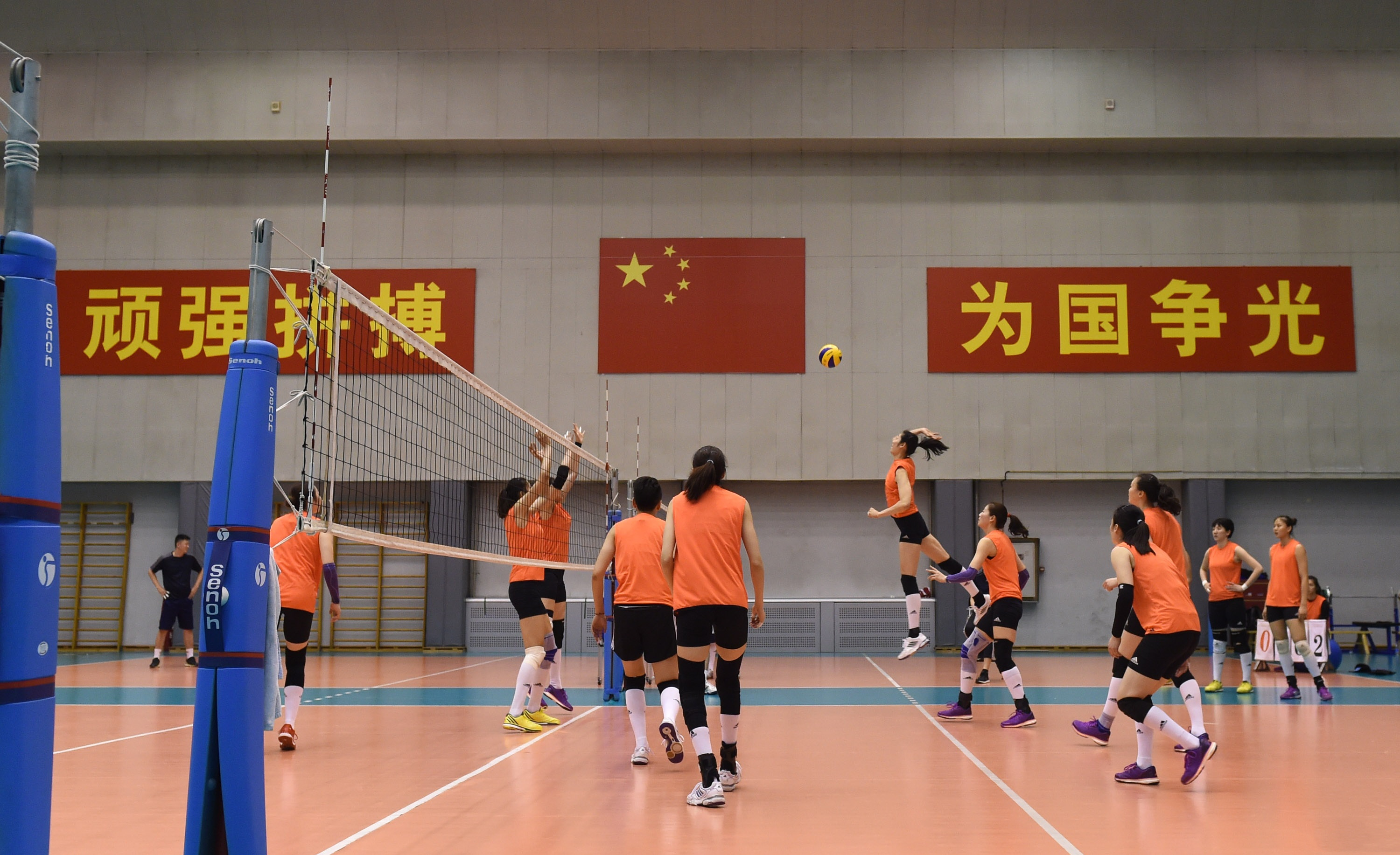 中国女排朱婷的个人资料简介(曾穷到交不起学费,如今是为国争光的排球