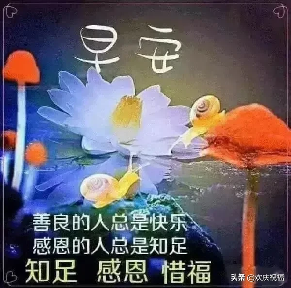 摔跤了不要哭，爬起来站直一笑，拍拍身上的尘灰，继续奔跑，早安