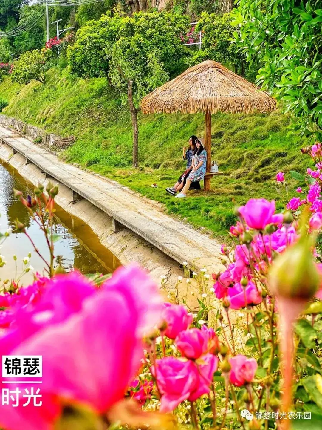 「乡」约宜昌，11条乡村游线路，等你来打卡