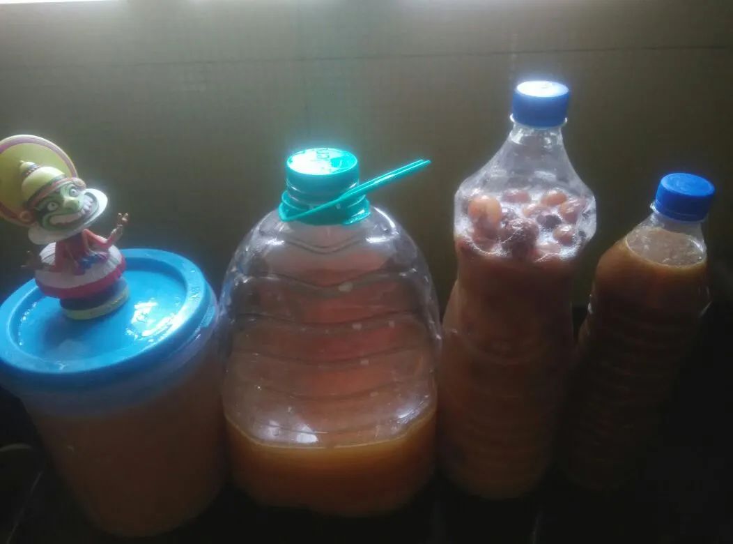 烂菜烂水果制作有机肥的方法（手把手教你制作有机肥）