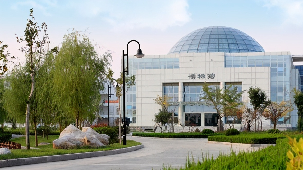 临沂大学张瑞莹：大学生甘愿做“小三”，这个“瓜”真的不太甜