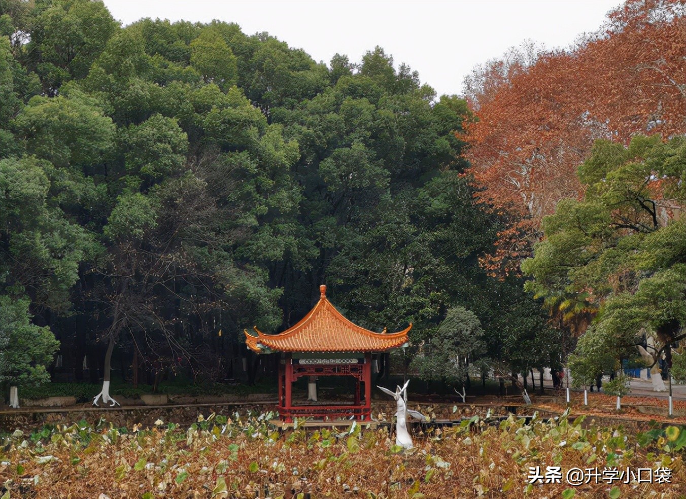 华中科技大学本科生就业单位：139人签约中建，42人签约华为