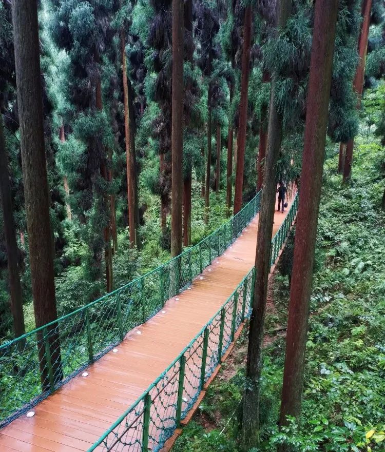 成都国色天香团购（泡温泉、看雪山、感受民族风情……成都父母冬日遛娃泡汤攻略）