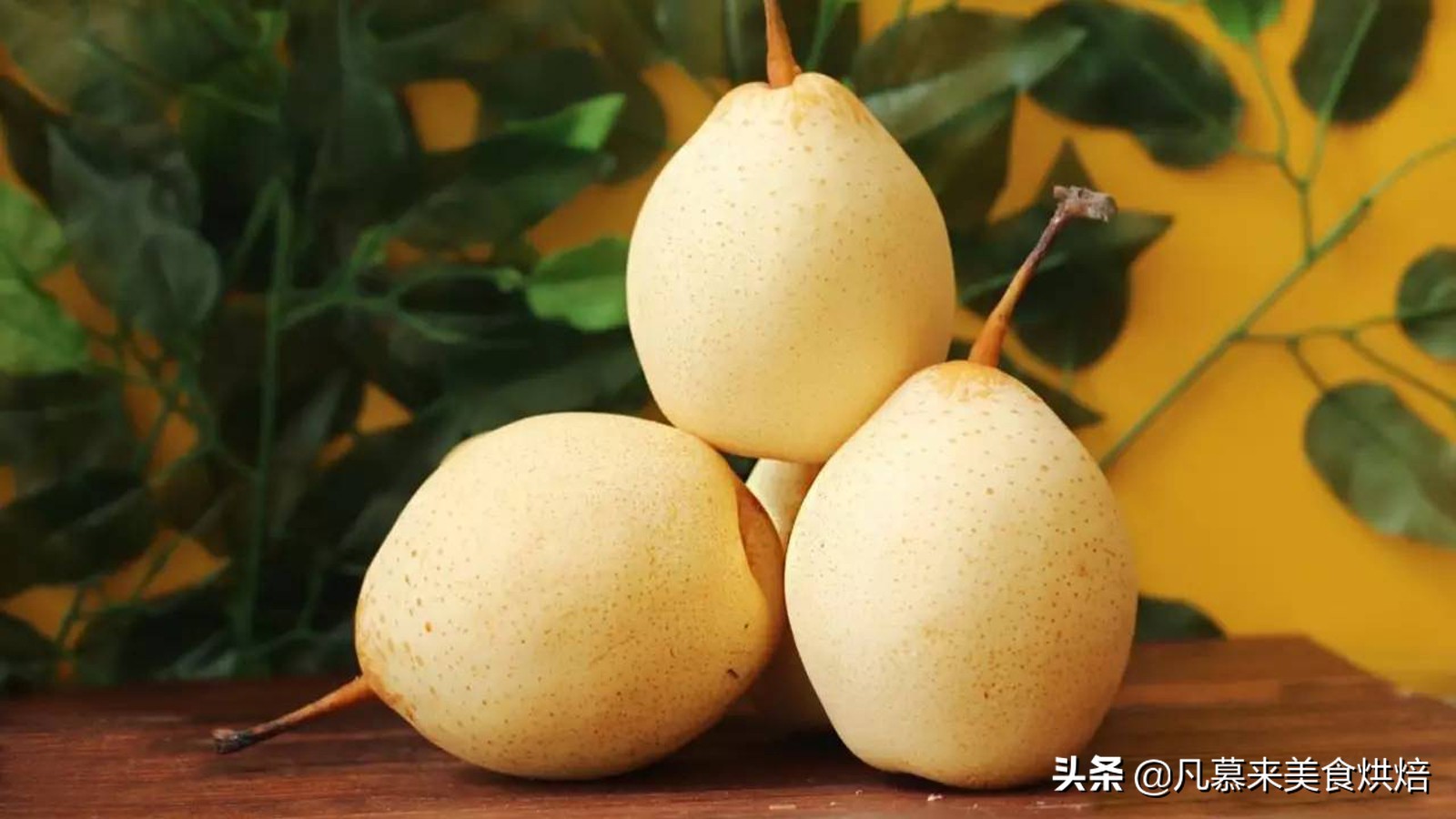 苹果梨图片（盘点全国最好吃的50种梨快收藏）