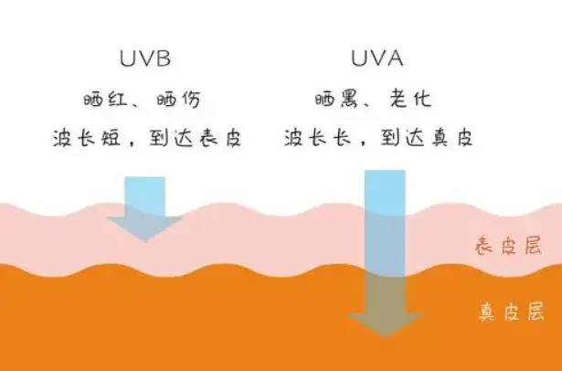 全球最好用的十大防晒（女士防晒霜排行榜10强）