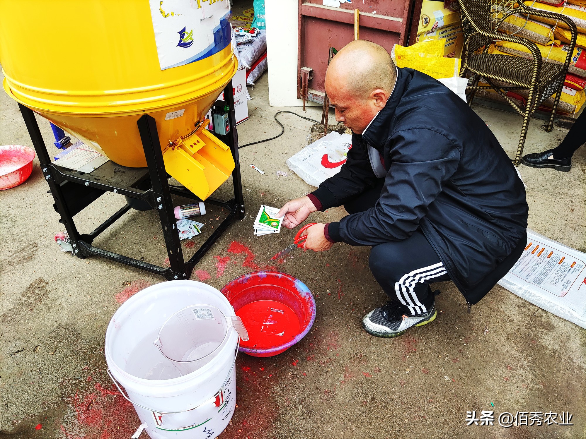 小麥病蟲害,
