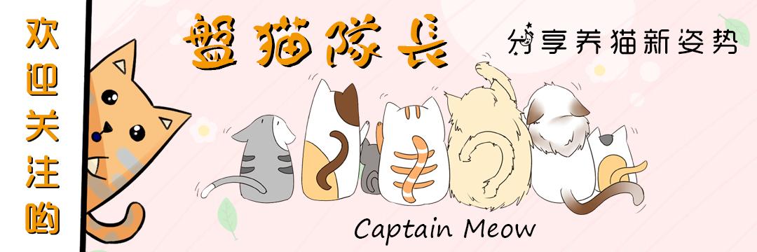 猫咪大便带血是什么原因？如何处理猫咪便血问题？