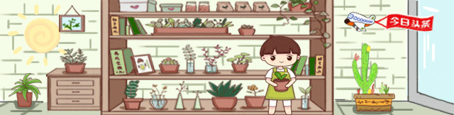 两元豆子变豆芽：超市购买豆子自制新鲜豆芽菜种植方法